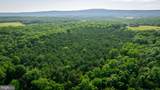  14.5 AC PCL A- OFF VIRGINIA LINE RD - Photo 12