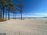 34400 White Heron Road - Photo 41