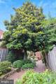 637 Constitution Avenue - Photo 40
