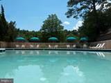39334 Tall Pines Court - Photo 42
