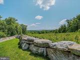 1365 Boulder Spring Trail - Photo 10