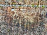 13445 Blackwells Mill Road - Photo 84