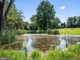 19164 Black Oak Road - Photo 86