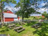 3659 Ox Road - Photo 51