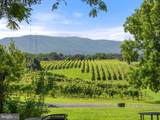 3659 Ox Road - Photo 63
