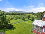 3659 Ox Road - Photo 64
