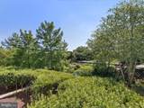 38415 Boxwood Terrace - Photo 43