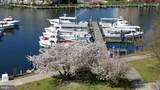 700 Cattail Cove - Photo 40