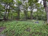 17211 Mount Savage Road - Photo 39