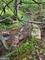 230 Polar Bear Road - Photo 4
