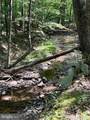 230 Polar Bear Road - Photo 44