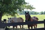 1615 Pleasant View Road - Photo 96