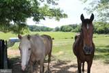 1615 Pleasant View Road - Photo 97