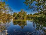 18336 Streamside Drive - Photo 31