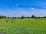 33586 Windswept Drive - Photo 34