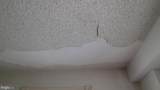 802 Grove Street - Photo 23