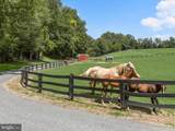 10901 Moxley Road - Photo 113