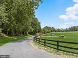 10901 Moxley Road - Photo 115