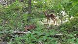 2948 Hog Hollow Road - Photo 60