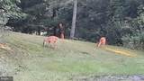 2948 Hog Hollow Road - Photo 62