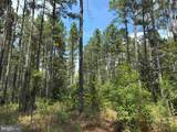  N Liberty Spring Rd (Tract: Ches. Block 4-61-119) - Photo 12