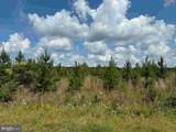  N Liberty Spring Rd (Tract: Ches. Block 4-61-119) - Photo 19