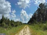  N Liberty Spring Rd (Tract: Ches. Block 4-61-119) - Photo 21