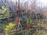 0 Means Hollow Road - Photo 25