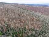 0 Means Hollow Road - Photo 28