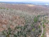 0 Means Hollow Road - Photo 29