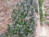 0 Means Hollow Road - Photo 37