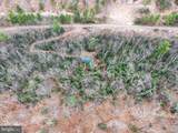 0 Means Hollow Road - Photo 39