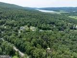 Lot 5 Bald Eagle Forest Road - Photo 12
