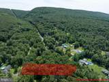 Lot 5 Bald Eagle Forest Road - Photo 15