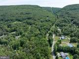 Lot 5 Bald Eagle Forest Road - Photo 16