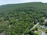 Lot 5 Bald Eagle Forest Road - Photo 18