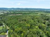 Lot 5 Bald Eagle Forest Road - Photo 28
