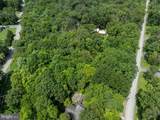 Lot 5 Bald Eagle Forest Road - Photo 32