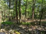 Lot 5 Bald Eagle Forest Road - Photo 6