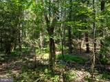 Lot 5 Bald Eagle Forest Road - Photo 7