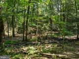 Lot 5 Bald Eagle Forest Road - Photo 8