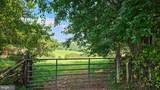 9534 Spring Hill - Photo 10