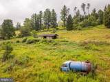 1055 Old Wilson Road - Photo 10