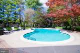 11029 Plumwood Circle - Photo 134