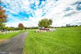 590 Carlyle Road - Photo 77