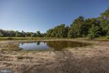 8364 Pittsville Road - Photo 60