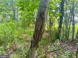 12 Oak Grove Cemetery Road - Photo 54