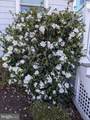 1663 Cliff Drive - Photo 41