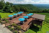 1376 Wyatt Mountain Rd - Photo 55