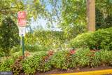 4141 Henderson Road - Photo 36